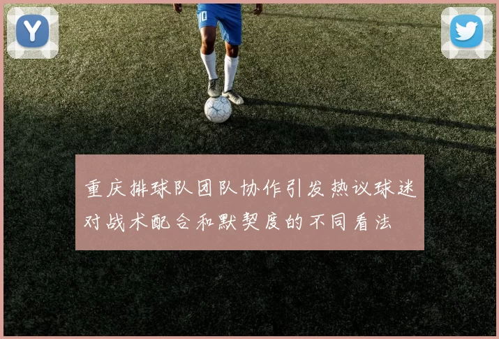 重庆排球队团队协作引发热议球迷对战术配合和默契度的不同看法