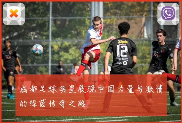 成都足球明星展现中国力量与激情的绿茵传奇之路