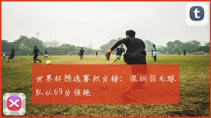 世界杯预选赛积分榜：深圳羽毛球队以69分领跑