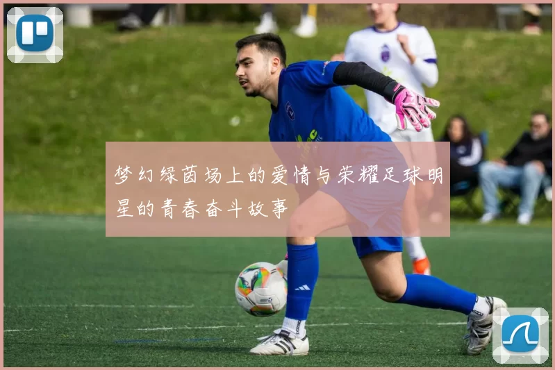 梦幻绿茵场上的爱情与荣耀足球明星的青春奋斗故事