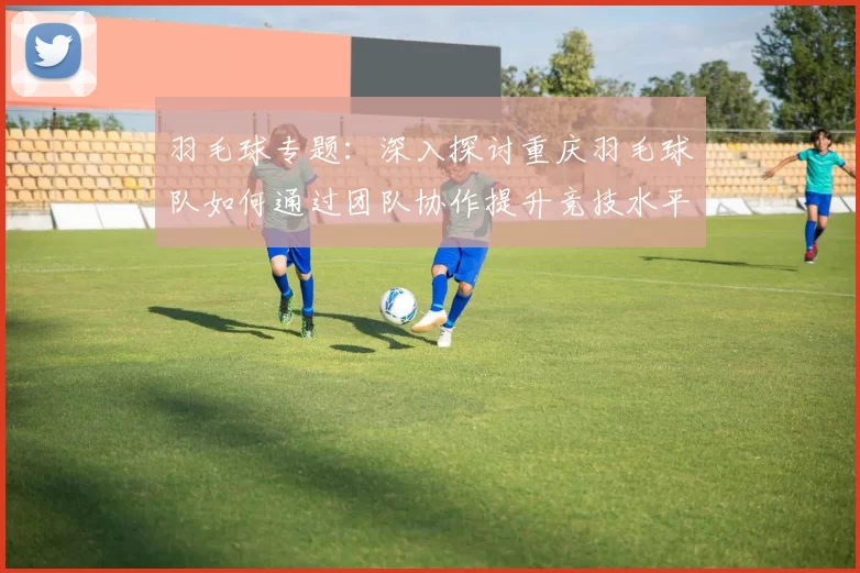 羽毛球专题：深入探讨重庆羽毛球队如何通过团队协作提升竞技水平与团体凝聚力