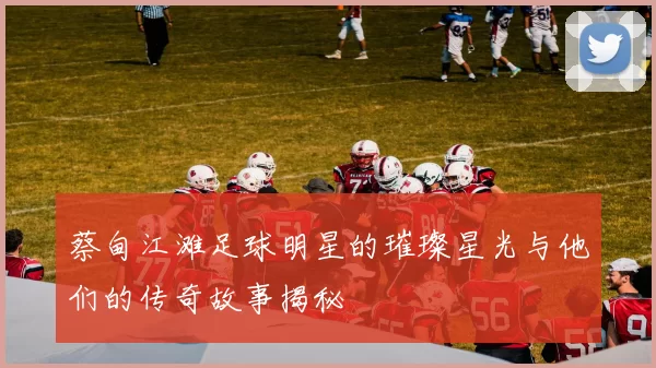 蔡甸江滩足球明星的璀璨星光与他们的传奇故事揭秘