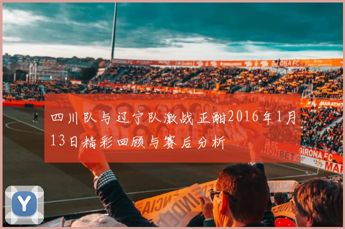 四川队与辽宁队激战正酣2016年1月13日精彩回顾与赛后分析