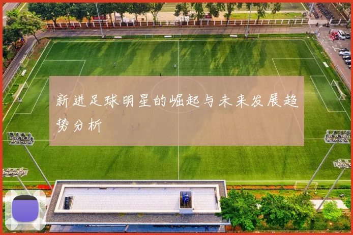 新进足球明星的崛起与未来发展趋势分析