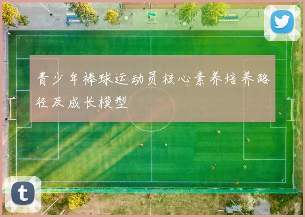 青少年棒球运动员核心素养培养路径及成长模型
