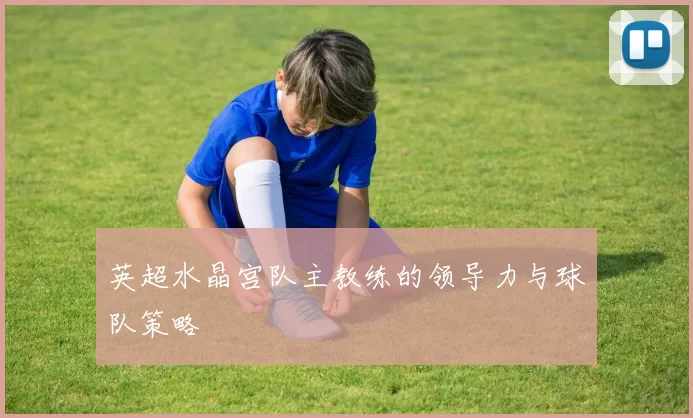英超水晶宫队主教练的领导力与球队策略