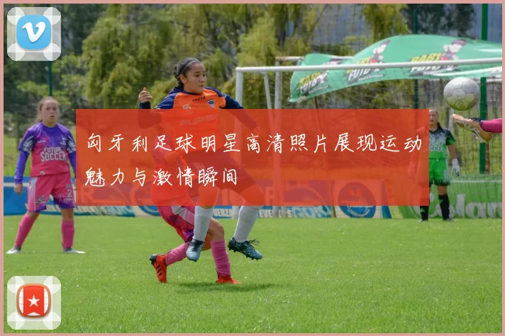 匈牙利足球明星高清照片展现运动魅力与激情瞬间