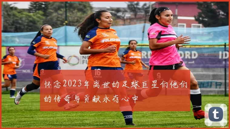 怀念2023年离世的足球巨星们他们的传奇与贡献永存心中
