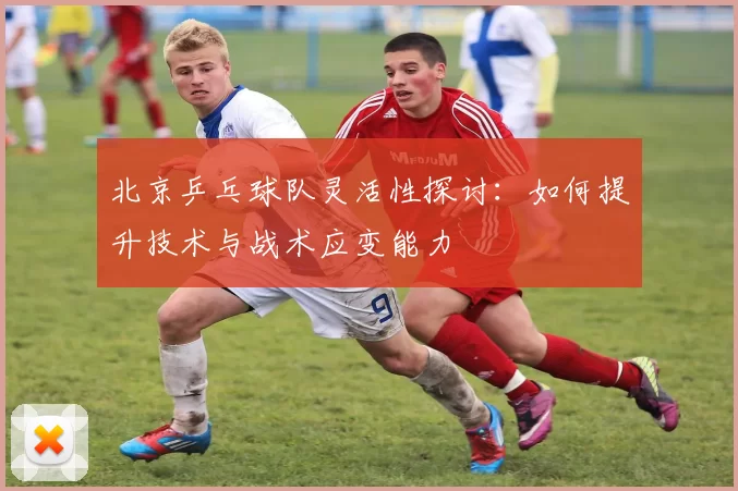 北京乒乓球队灵活性探讨：如何提升技术与战术应变能力