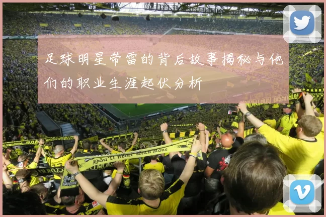 足球明星带雷的背后故事揭秘与他们的职业生涯起伏分析