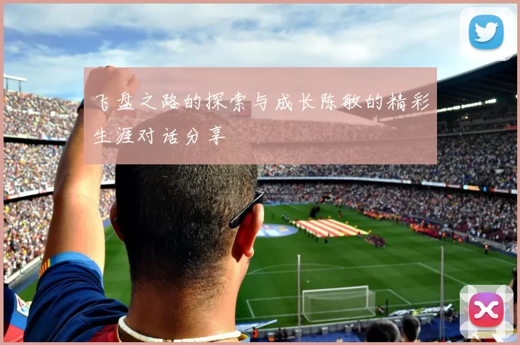 飞盘之路的探索与成长陈敏的精彩生涯对话分享