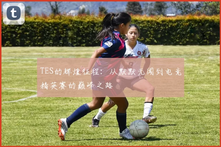 TES的辉煌征程：从默默无闻到电竞精英赛的巅峰之路