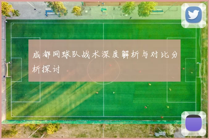成都网球队战术深度解析与对比分析探讨