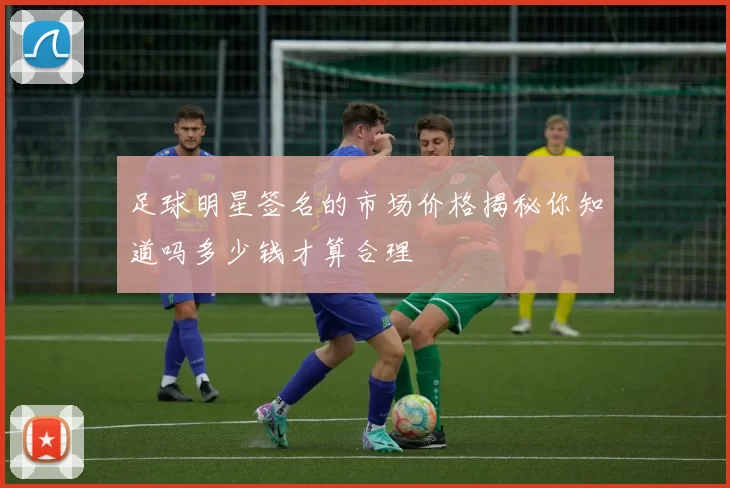 足球明星签名的市场价格揭秘你知道吗多少钱才算合理