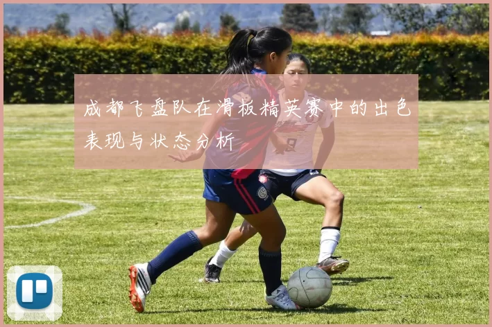 成都飞盘队在滑板精英赛中的出色表现与状态分析