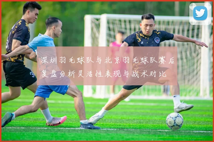 深圳羽毛球队与北京羽毛球队赛后复盘分析灵活性表现与战术对比