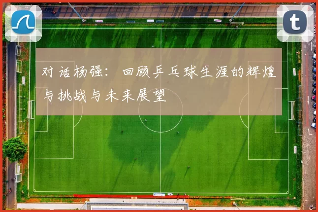 对话杨强：回顾乒乓球生涯的辉煌与挑战与未来展望