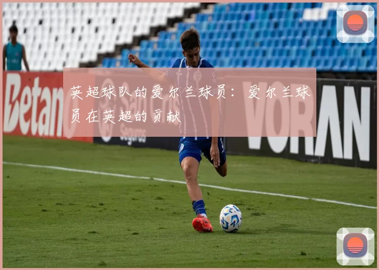 英超球队的爱尔兰球员：爱尔兰球员在英超的贡献