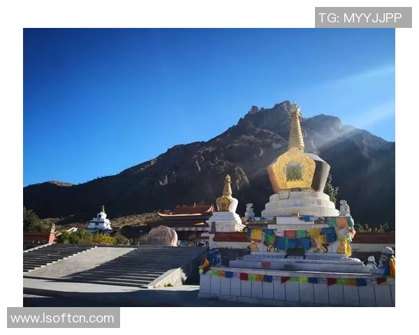 极限挑战与梦想追逐：北京极限运动队的奋斗与荣耀之路