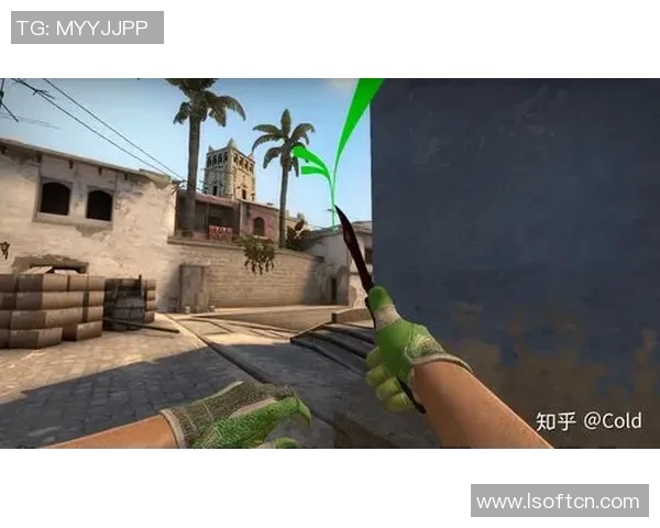 CSGO战术分析:深入探讨WE战队的控制策略与执行细节